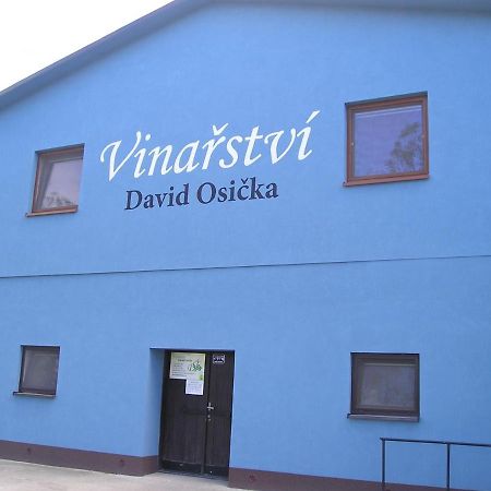 Vinarstvi David Osicka Apartment Velke Bilovice Exterior photo