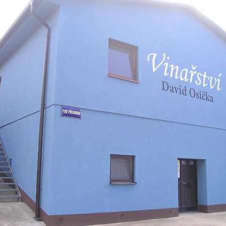 Vinarstvi David Osicka Apartment Velke Bilovice Exterior photo