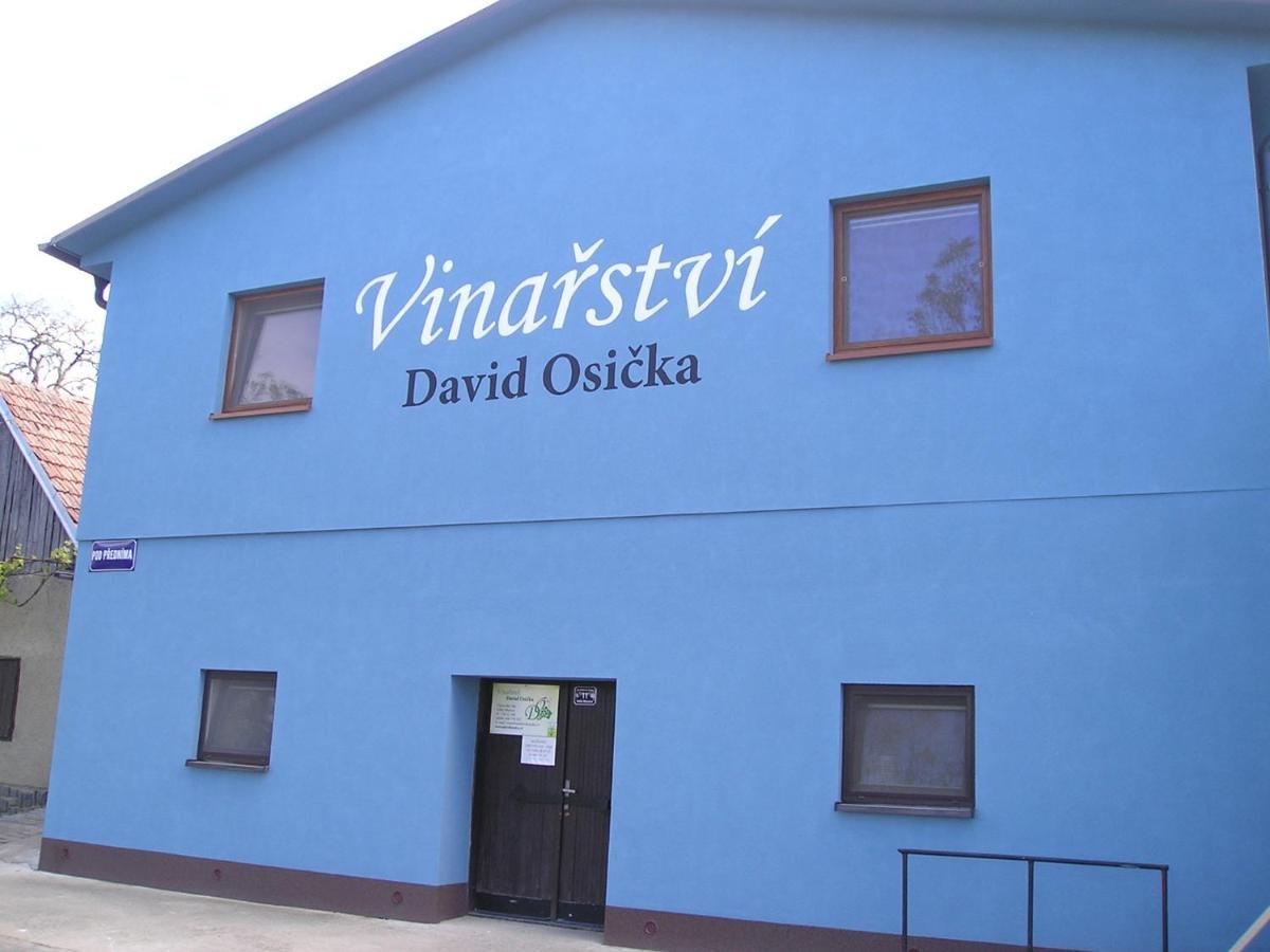 Vinarstvi David Osicka Apartment Velke Bilovice Exterior photo