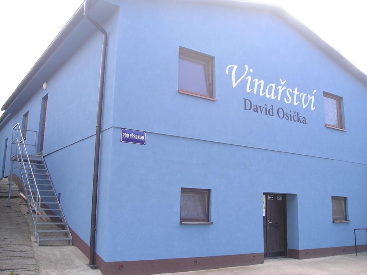 Vinarstvi David Osicka Apartment Velke Bilovice Exterior photo